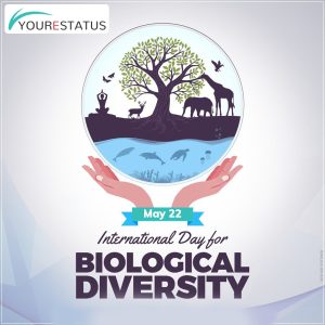 YES-fbpost-International-Day-for-Biological-Diversity